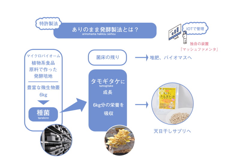 楽々(ララ)天日干したもぎたけ 取り扱い開始