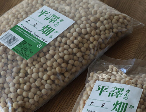 自家製味噌にもおすすめ！平譯さんの畑から「大豆」