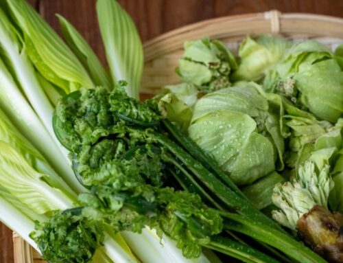 平庭牧場の山菜POPと味の早見表を作成いたしました