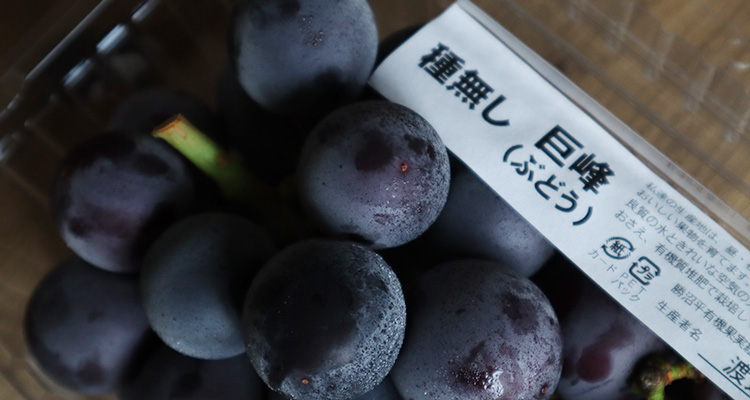 どこよりも早く味わう!勝沼平有機果実組合の早出し巨峰