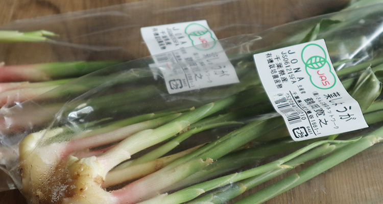 夏に美味しい葉しょうが(谷中)