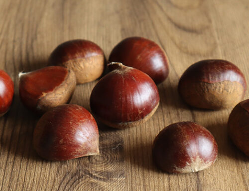 栗は野菜か果物か？