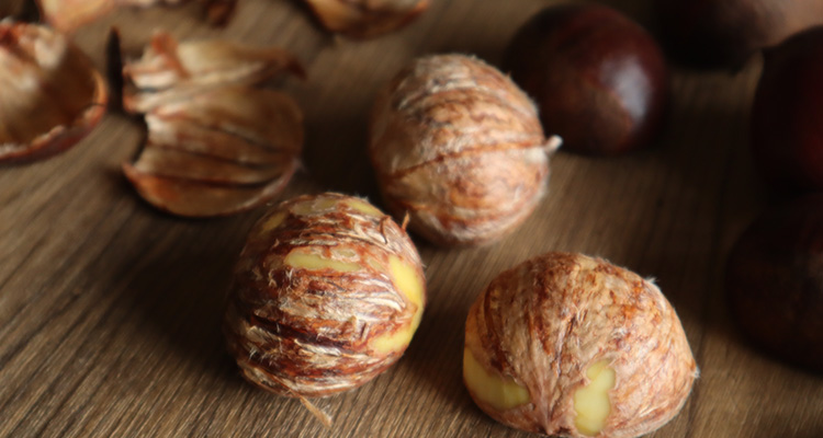 栗は野菜か果物か?